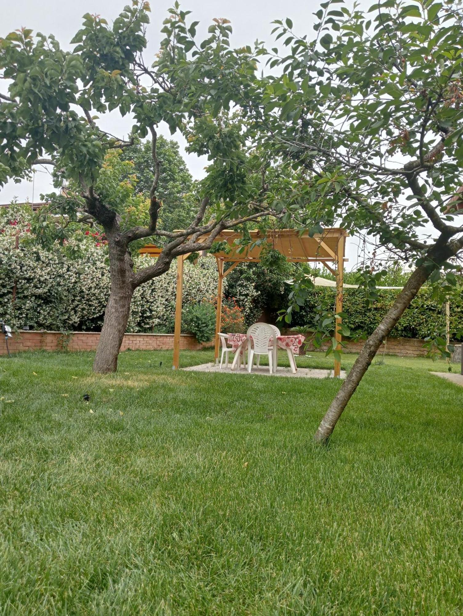 Hotel Da Piero E Gina à Palidoro Chambre photo